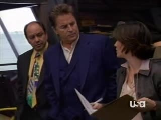 21. detective nash bridges. (detective. 2001)