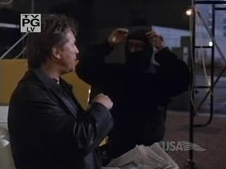 5. detective nash bridges. (detective. 2000)