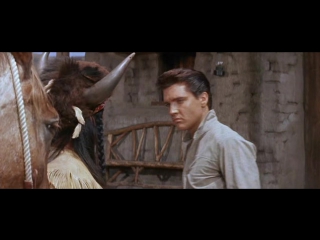 blazing star (western. 1960)