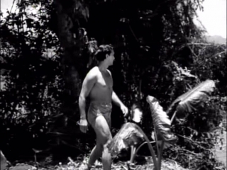 tarzan and the mermaids (adventures 1948)