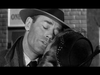 wrong man (noir 1956)